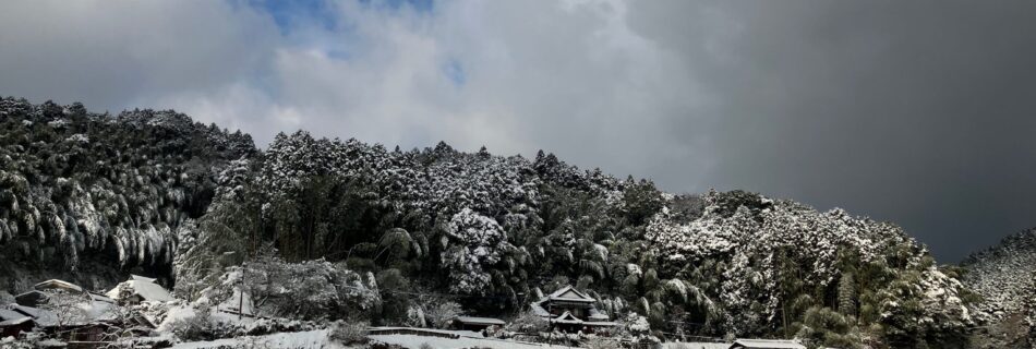 里山の雪